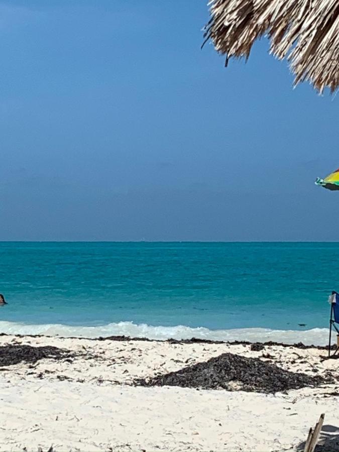 The Quetzal Bed & Breakfast Cancun Bagian luar foto