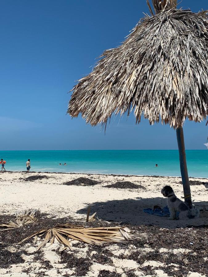 The Quetzal Bed & Breakfast Cancun Bagian luar foto