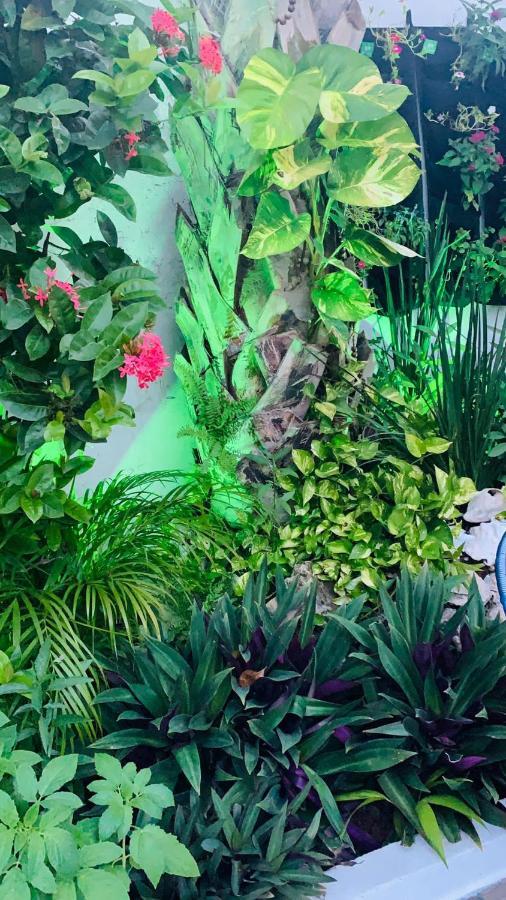 The Quetzal Bed & Breakfast Cancun Bagian luar foto