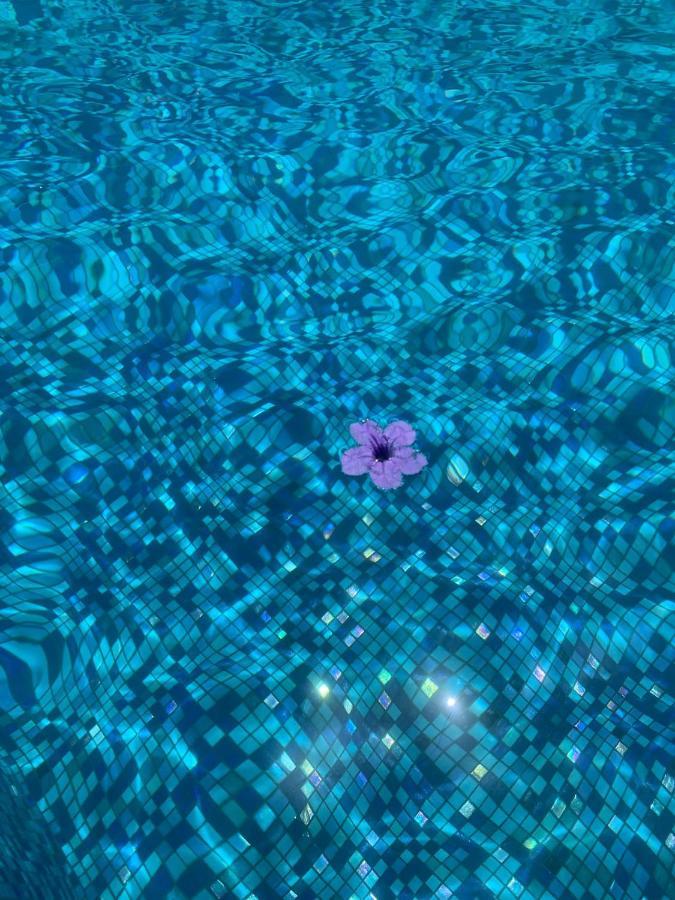 The Quetzal Bed & Breakfast Cancun Bagian luar foto